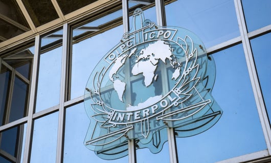 Protecting the U.S. Judicial System from A Politicized Interpol